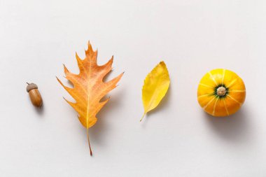 Güzel sonbahar yapraklı kompozisyon ve beyaz arka planda balkabağı