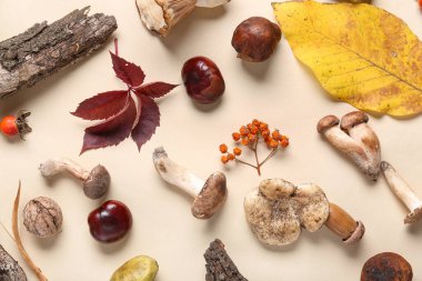 Bej arka planda mantar, böğürtlen ve sonbahar yapraklı kompozisyon