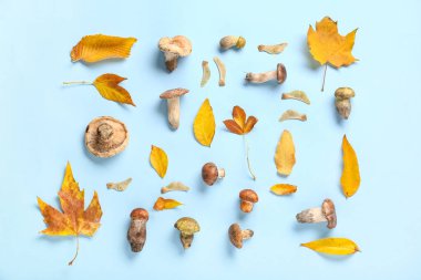 Mavi arka planda mantarlı ve sonbahar yapraklı kompozisyon