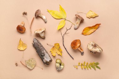 Bej arka planda mantarlı, dallı, ağaç kabuklu ve sonbahar yapraklı kompozisyon