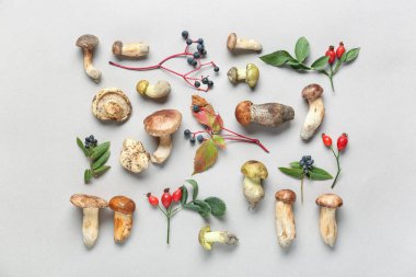 Gri arkaplanda sonbahar mantarları, böğürtlenler ve yapraklarla kompozisyon