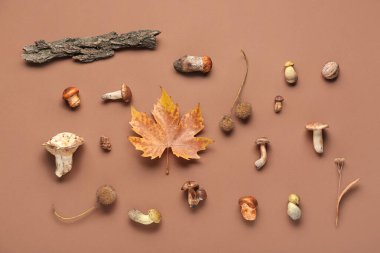 Mantarlı kompozisyon, ağaç kabuğu ve kahverengi arka planda sonbahar yaprağı