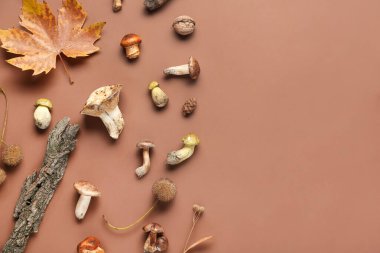 Mantarlı kompozisyon, ağaç kabuğu ve kahverengi arka planda sonbahar yaprağı