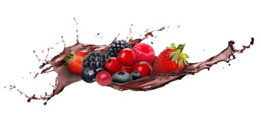 Beyaza izole edilmiş taze böğürtlenli sıvı çikolata.