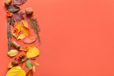 Farklı sonbahar yaprakları ve turuncu arka planda böğürtlen kompozisyonu