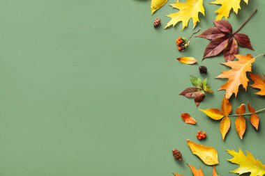 Farklı sonbahar yaprakları ve yeşil arka planda böğürtlen