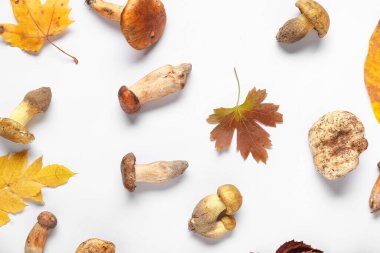 Beyaz arkaplanda mantarlı ve sonbahar yapraklı kompozisyon