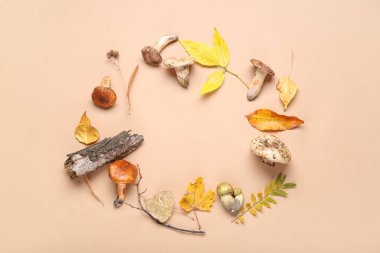 Mantarlardan, dallardan, ağaç kabuklarından ve bej arka planda sonbahar yapraklarından yapılmış çerçeve