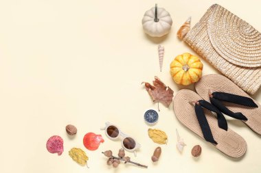 Çantalı deniz kabukları, parmak arası terlikler, balkabakları ve bej arka planda sonbahar yaprakları. Şükran Günü kutlaması