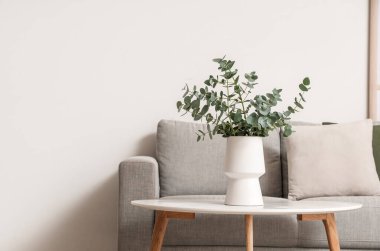 Oturma odasındaki gri kanepenin yanındaki masada taze okaliptüs dalları olan vazo.