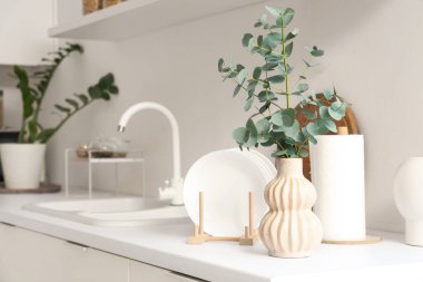 Mutfakta taze okaliptüs dalları ve temiz tabaklar olan vazo.