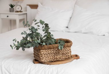 Yatak odasında, üzerinde taze okaliptüs dalları olan sepet.