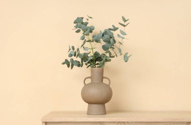 Üzerinde taze okaliptüs dalları olan vazo, bej duvarın yanındaki çekmecelerin üzerinde.