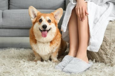 Yumuşak terlikli genç kadın puf ve tatlı Corgi köpeği oturma odasında oturuyor.