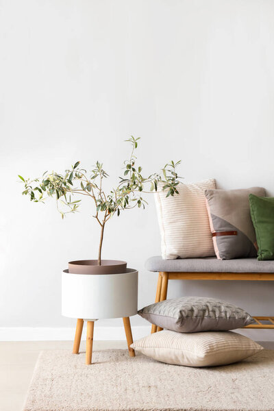 Grey bench with soft cushions and decorative tree near white wall