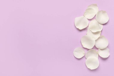 Leylak arkaplanda güzel beyaz gül yaprakları