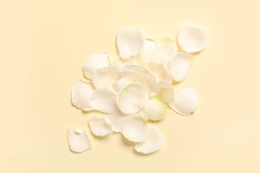 Sarı arka planda güzel beyaz gül yaprakları