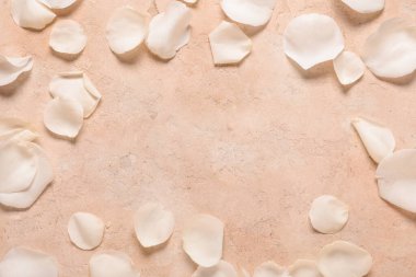 Bej arkaplanda güzel beyaz gül yapraklarından yapılmış çerçeve