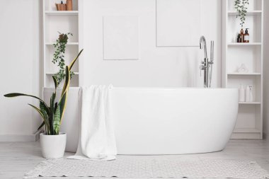 Küvet, ev bitkisi ve banyonun içindeki raf üniteleri.