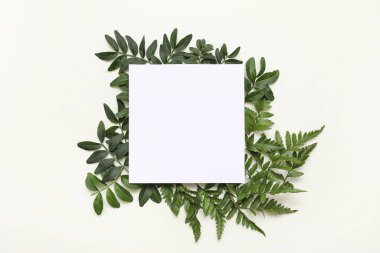 Gri arka planda farklı yeşil yaprakları olan boş bir kart.