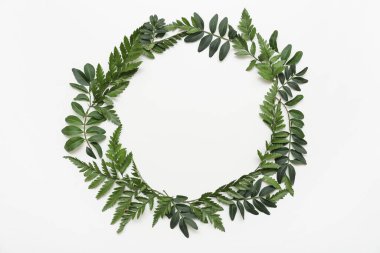 Gri arkaplanda farklı yeşil yapraklardan yapılmış çerçeve