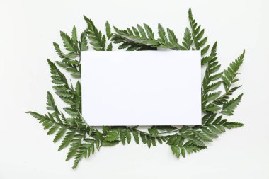 Gri arka planda taze yeşil yapraklı boş kart