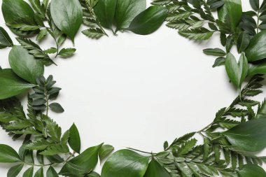 Gri arkaplanda farklı yeşil yapraklardan yapılmış çerçeve