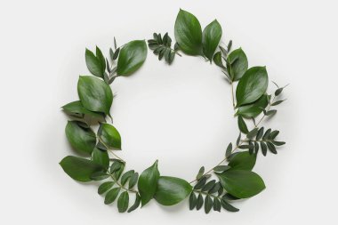 Gri arkaplanda farklı yeşil yapraklardan yapılmış çerçeve