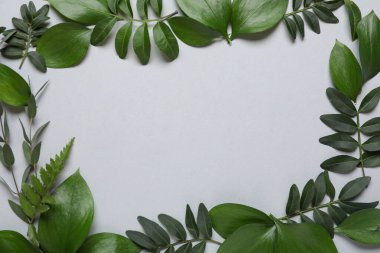 Gri arkaplanda farklı yeşil yapraklardan yapılmış çerçeve