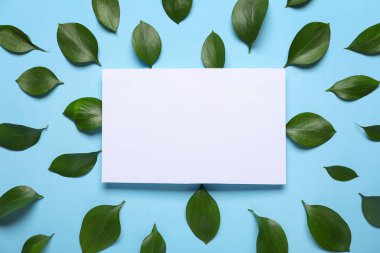 Mavi arka planda taze yeşil yapraklı boş kart