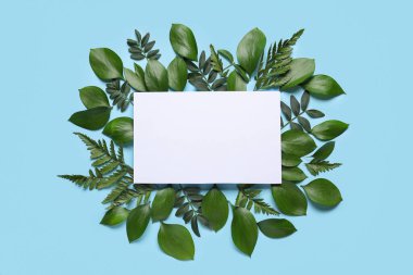 Mavi arka planda farklı yeşil yapraklı boş bir kart.