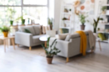 Gri koltukları ve çiçekleri olan bulanık oturma odası manzarası