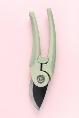 Pembe arka planda bahçıvanlık yapan gri kesiciler.