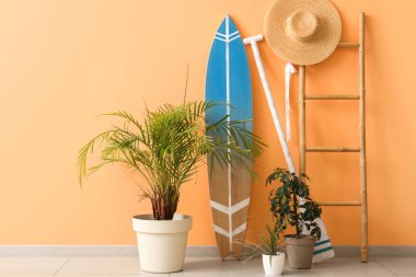 Sarı duvarın yanında bitki ve merdiven olan bir sörf tahtası.