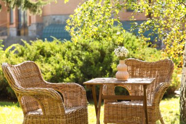 Rahat hasır koltuklar ve vazo papatya çiçekleri parkta, açık havada kahve masasında.