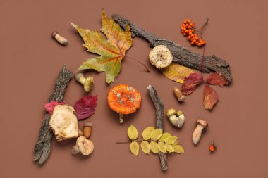 Kahverengi arka planda mantarlı, ağaç kabuklu ve sonbahar yapraklı kompozisyon