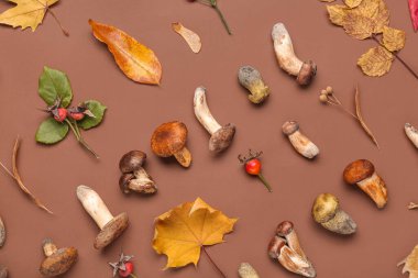 Kahverengi arka planda mantar, böğürtlen ve sonbahar yapraklı kompozisyon