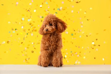 Şirin oyuncak köpek ve sarı arka planda konfeti.