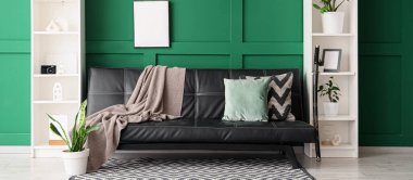 Rahat siyah kanepe ve oturma odasının iç tarafındaki yeşil duvarın yanındaki raf üniteleri.