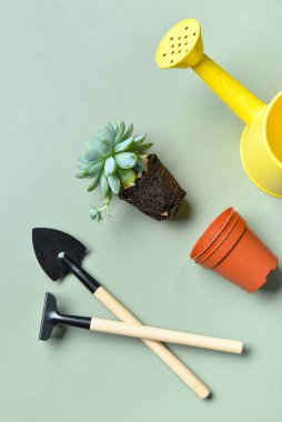 Bahçe tırmığı, kürek, su kovası ve yeşil arka planda bitki.