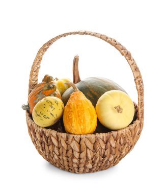 Beyaz arka planda farklı taze balkabaklarıyla hasır sepet.