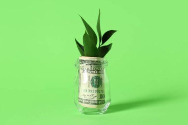 Yeşil arka planda dolar banknotları olan cam kavanozdan büyüyen bitki.