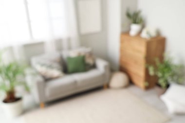 Gri kanepe, çekmeceler ve yeşil bitkilerle aydınlık oturma odasının bulanık görüntüsü