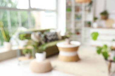 Çiçekleri, yeşil kanepesi ve raf ünitesi olan bulanık bir oturma odası.