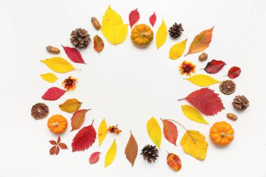 Taze balkabağı, meşe palamudu, kozalak, güzel çiçekler ve beyaz arka planda kurumuş portakal dilimleriyle sonbahar yapraklarından yapılmış çerçeve.