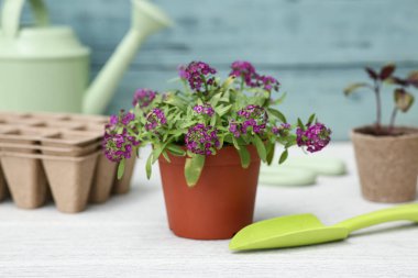 Çiçek açan saksı, fidanlar ve bahçe aletleri açık ahşap masa üzerinde.