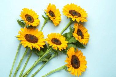 mooie zonnebloemen op blauwe achtergrond