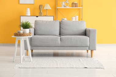 Rahat gri kanepesi, halısı ve çiçeğiyle modern oturma odası.