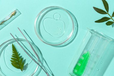 Turkuaz arka planda bitki örnekleri içeren petri kapları