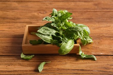 Ahşap arka planda taze fesleğen yapraklı kutu, yakın plan.